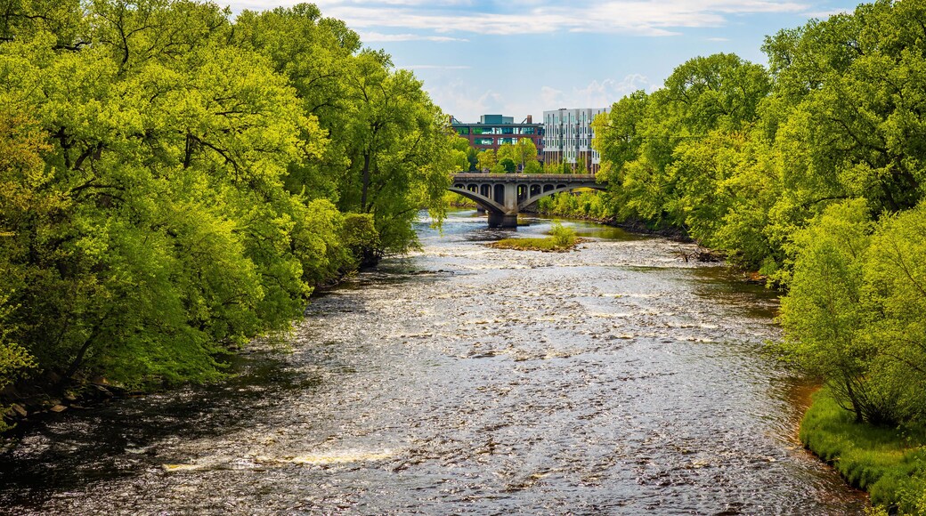 Scenic Bridge over Chippewa River
