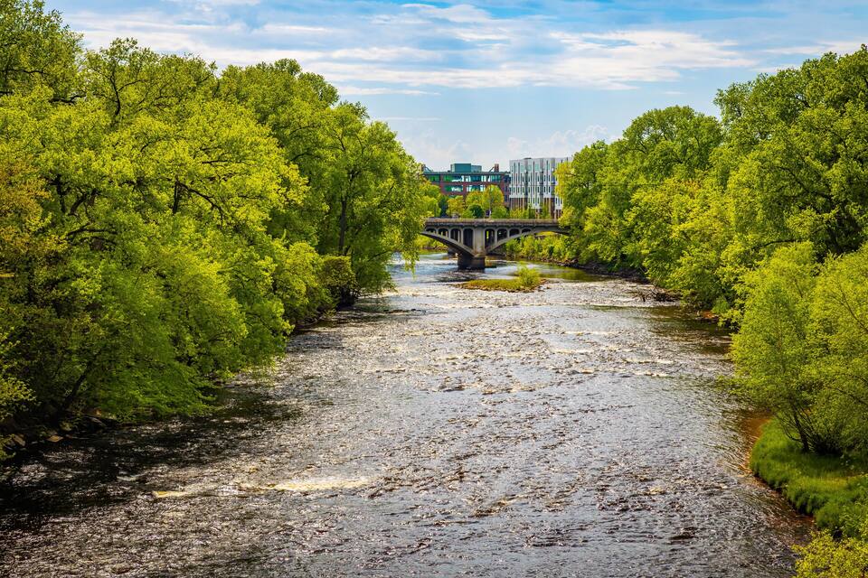 A river with a stone bridge, surrounded by lush green trees.