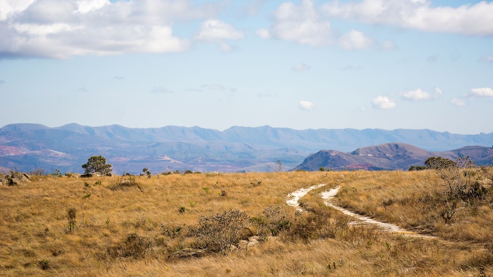 A dry grassland with a dirt path leading towards distant mountains under a clear sky.