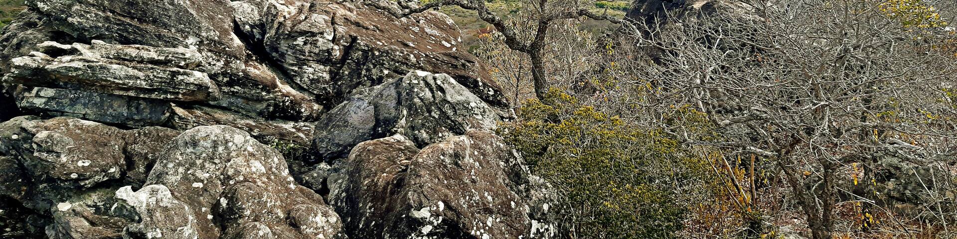 View from a lookout point in Rio Preto State Park, Minas Gerais, Brazil