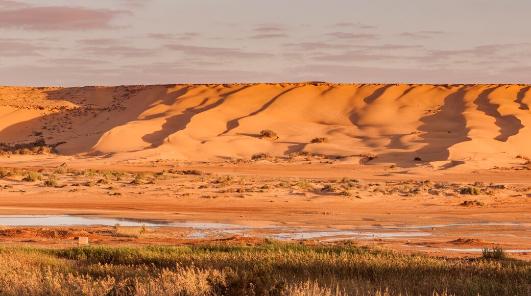 El Aaiún-Bojador-Saguia el Hamra