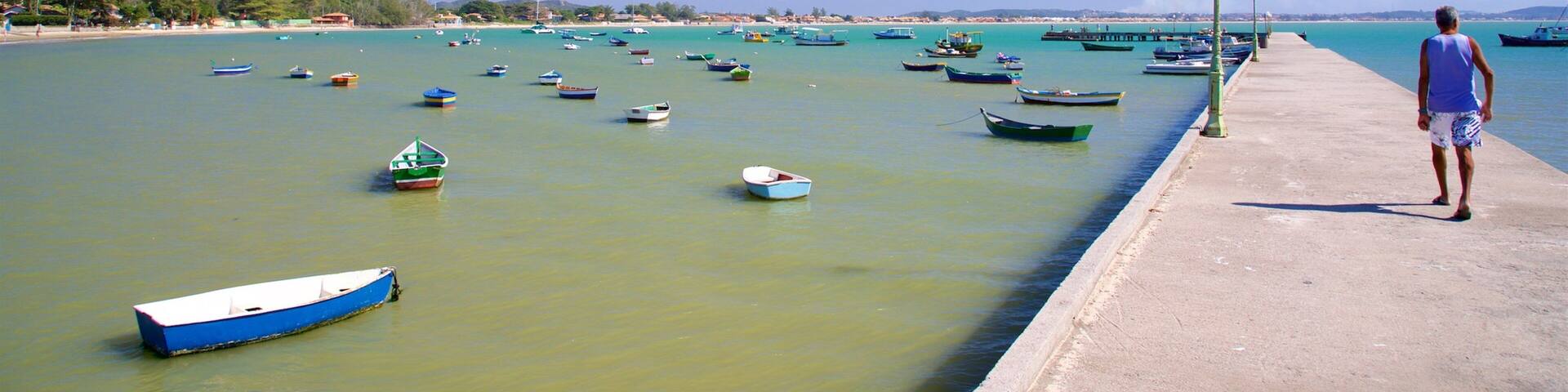Manguinhos Beach which includes a bay or harbor and general coastal views as well as an individual male