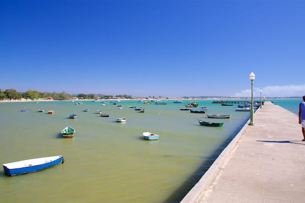 Manguinhos Beach showing general coastal views and a bay or harbour as well as an individual male