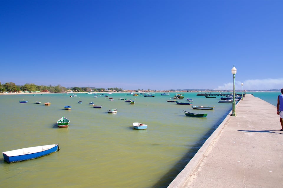 A coastal scene with numerous small boats anchored in calm waters, a clear blue sky, and a man walking along a concrete pier.