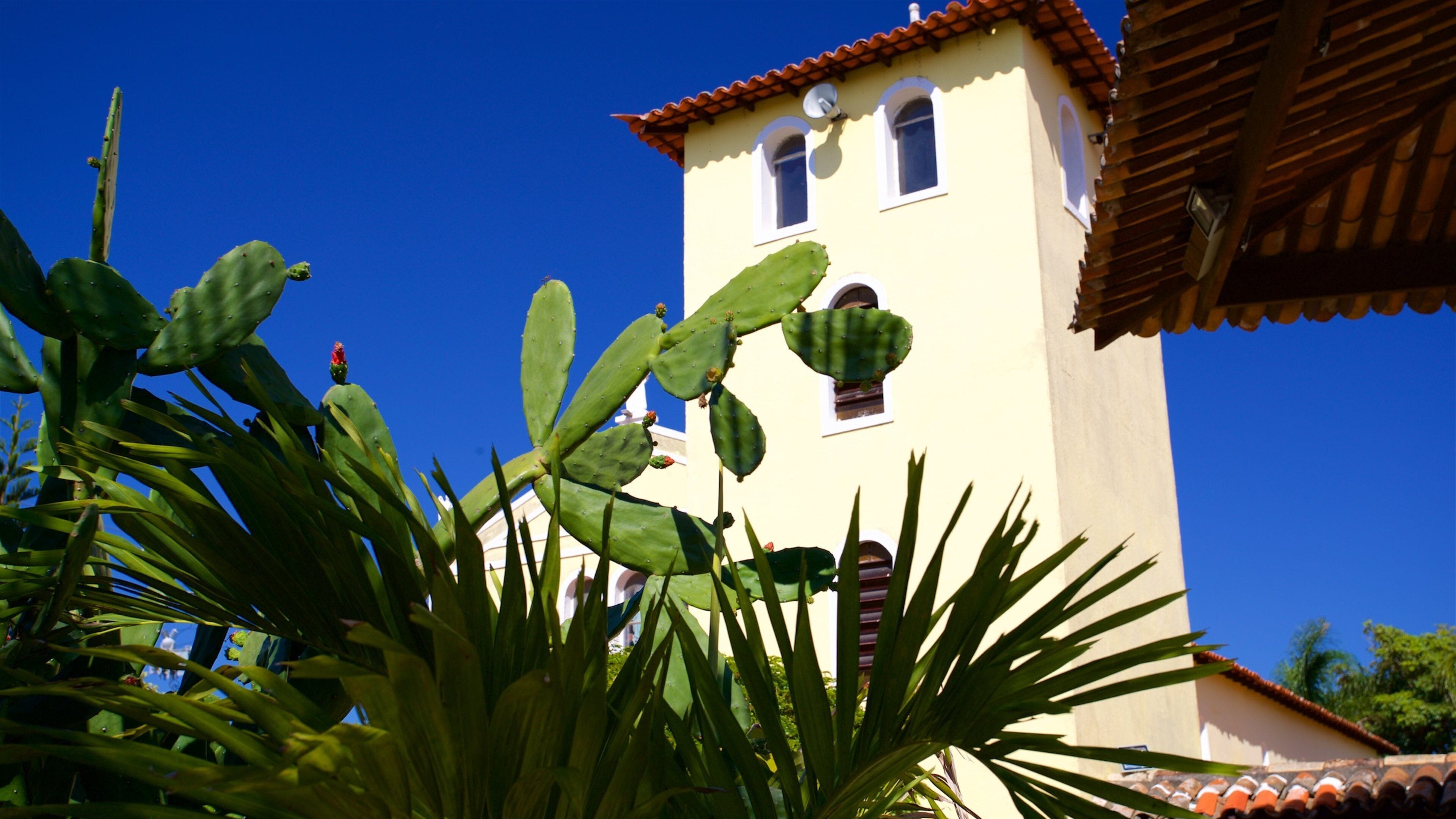 A building with a red-tiled roof and white walls, surrounded by green cacti and palm leaves.