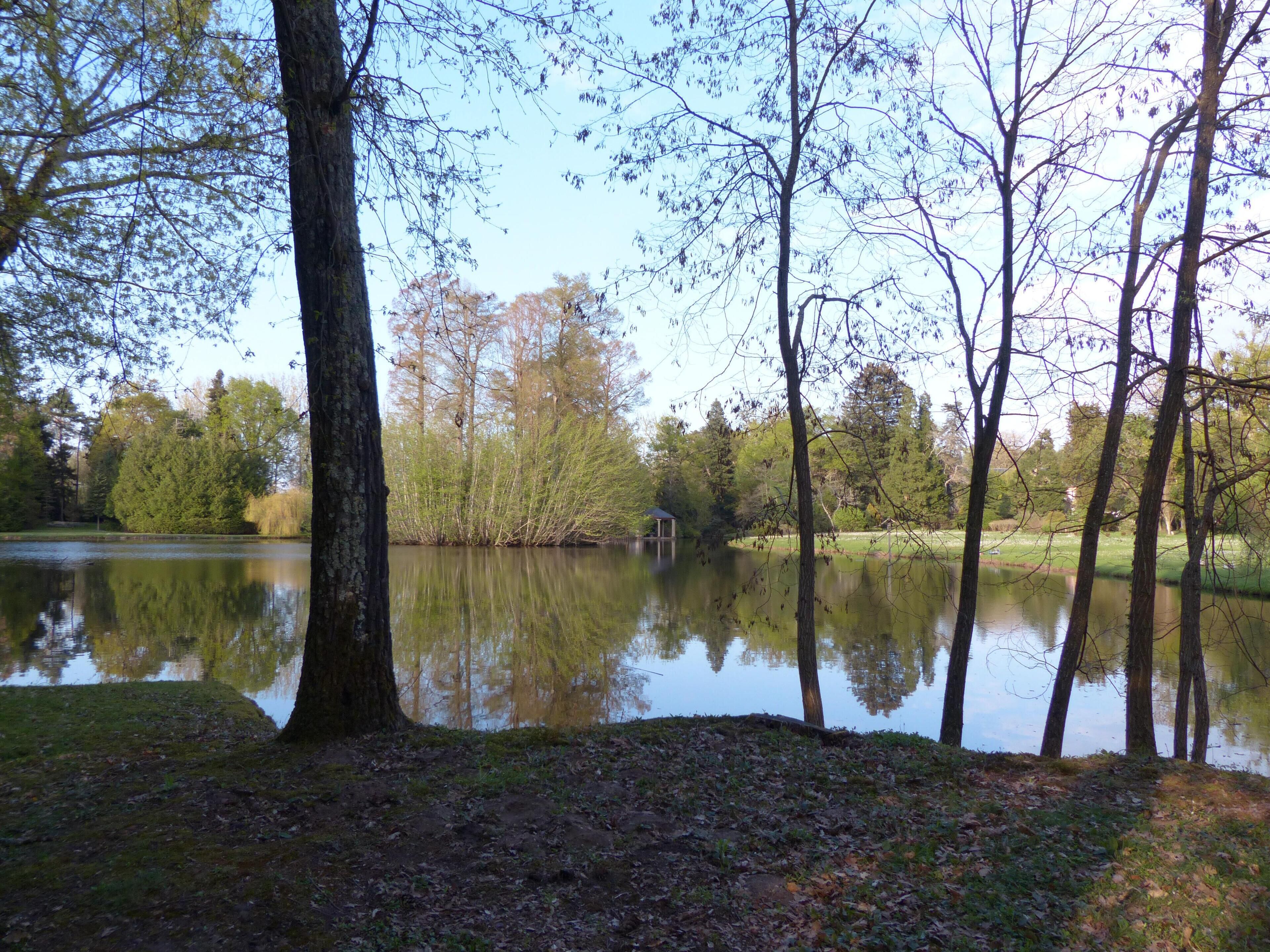 Arboretum de Balaine (Villeneuve-sur-Allier, France). Le lac. On peut deviner la façade du château au fond à droite.