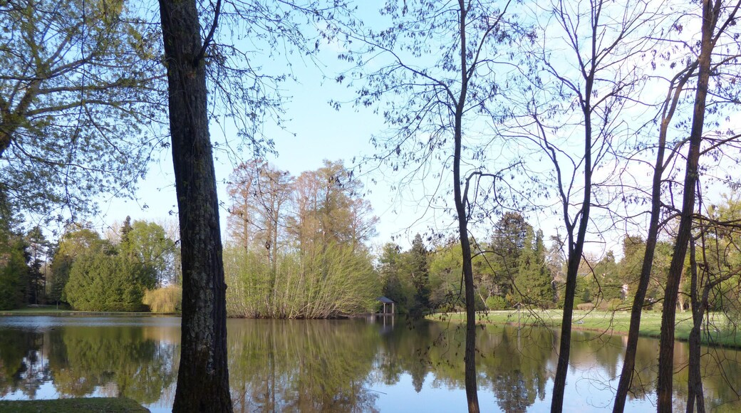 Arboretum de Balaine (Villeneuve-sur-Allier, France). Le lac. On peut deviner la façade du château au fond à droite.