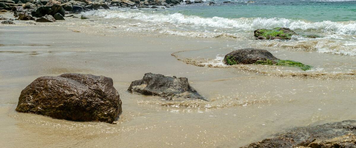 A rocky beach with waves, a tree, and a hill with people in the background.