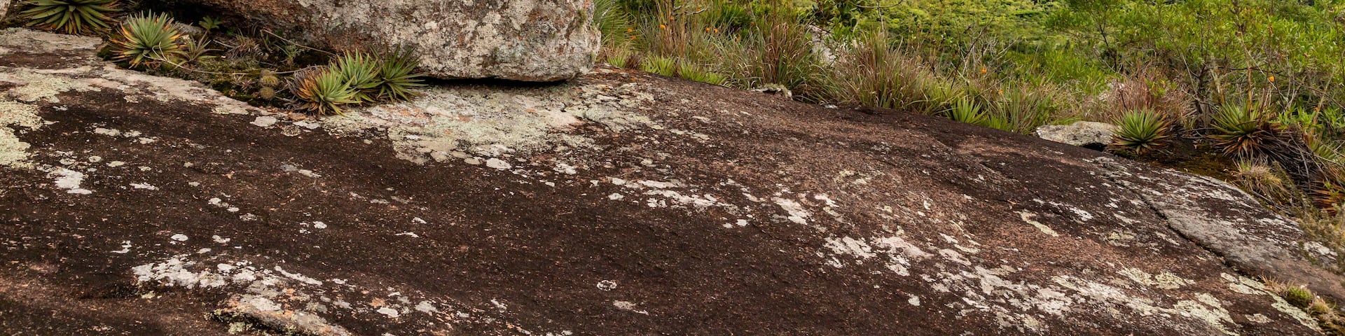 Rocks and vegetation in Itapua State park