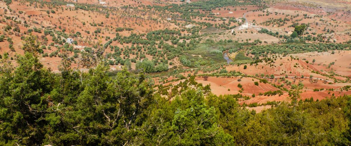 A vast, arid landscape with rolling hills and scattered vegetation.