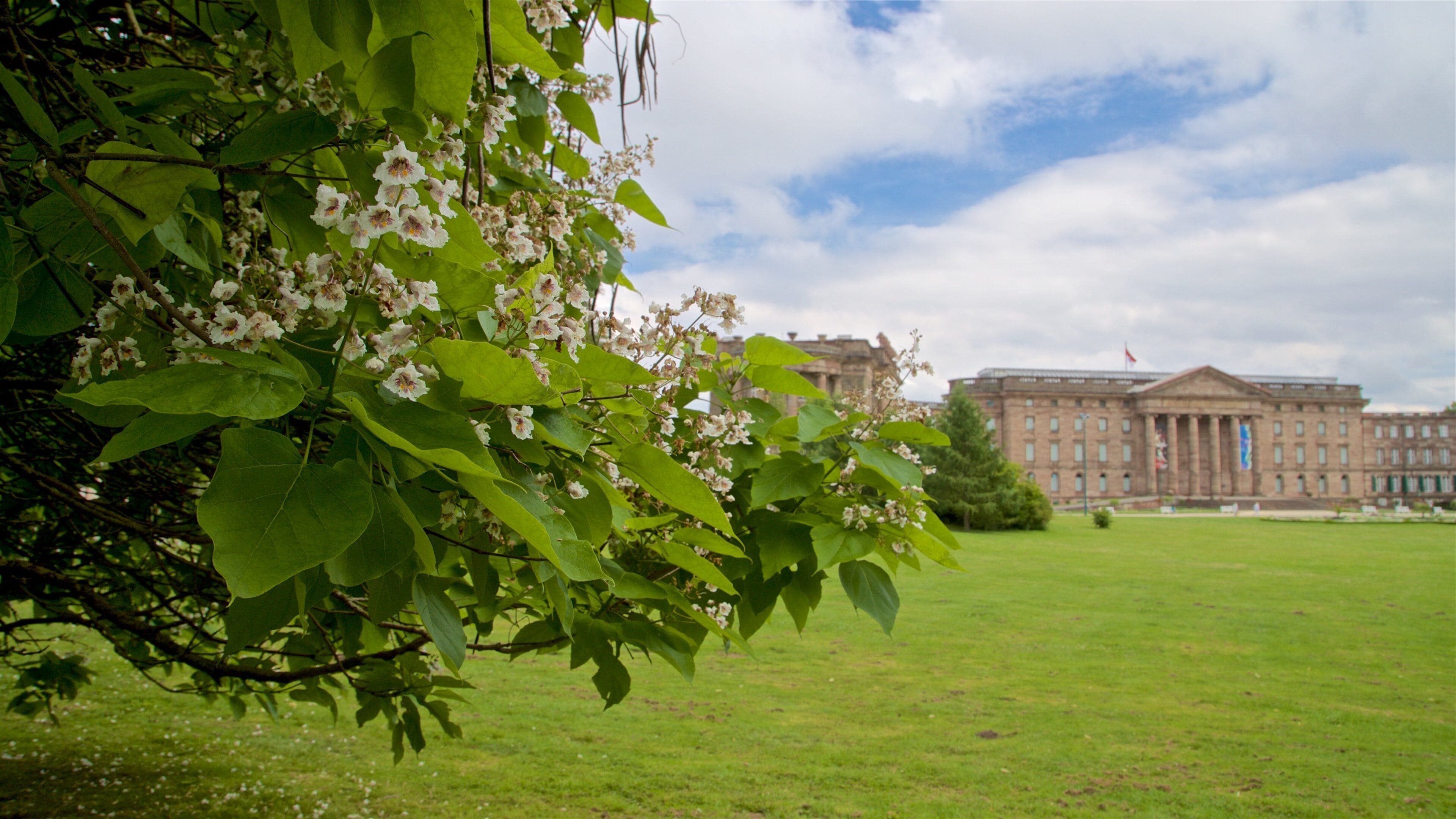 Schloss Wilhelmshoehe showing a garden, heritage architecture and wildflowers
