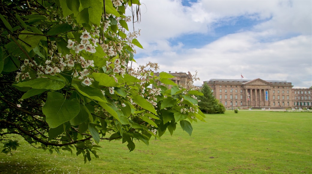 Schloss Wilhelmshoehe showing a garden, heritage architecture and wildflowers