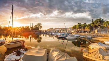 A marina with boats docked, a sunset in the background, and a row of trees along the waterfront.