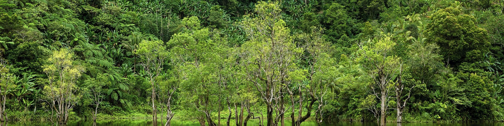 Not to be confused with the twin lakes of Balinsasayao and Danao, Kabalin-an Lake is a much smaller lake right at the entrance of the park. Its placid waters mirror the green foliage around it creating this enchanting scenery.