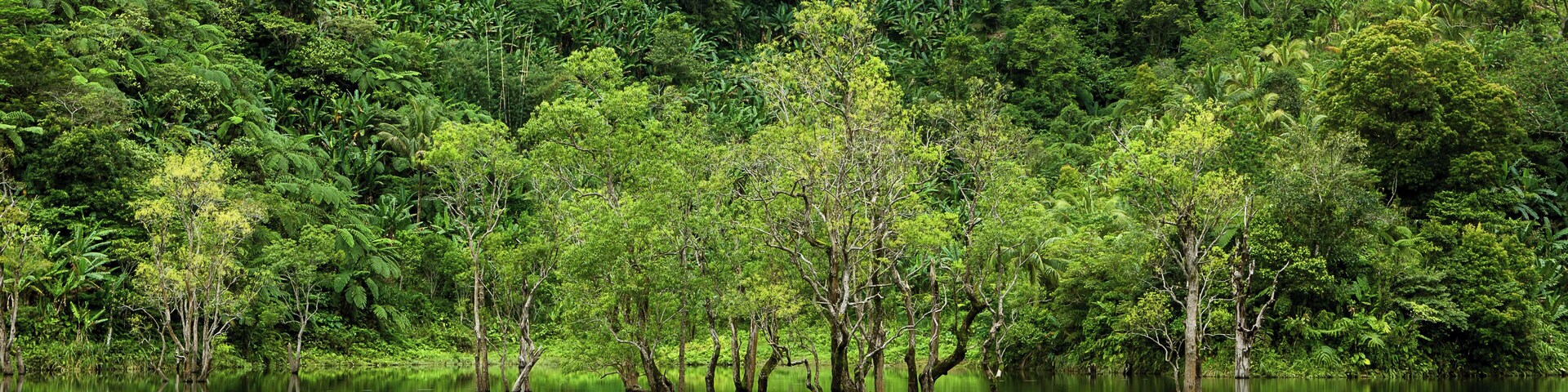 Not to be confused with the twin lakes of Balinsasayao and Danao, Kabalin-an Lake is a much smaller lake right at the entrance of the park. Its placid waters mirror the green foliage around it creating this enchanting scenery.