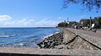 The promenade along Rizal Boulevard, Dumaguete City, Philippines