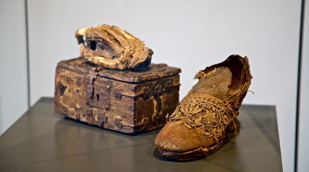 Historisches Rathaus mostrando vistas de interior y elementos patrimoniales