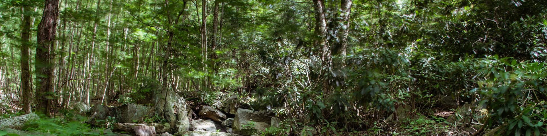 Even during periods of low water the stream provides beauty