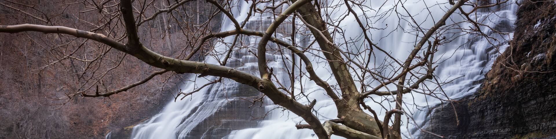 A bare tree, free from it's leaves at Ithace Falls Natural Area in New York State, grows from the wet rocks below with a waterfall blurred by it's motion in the background.
