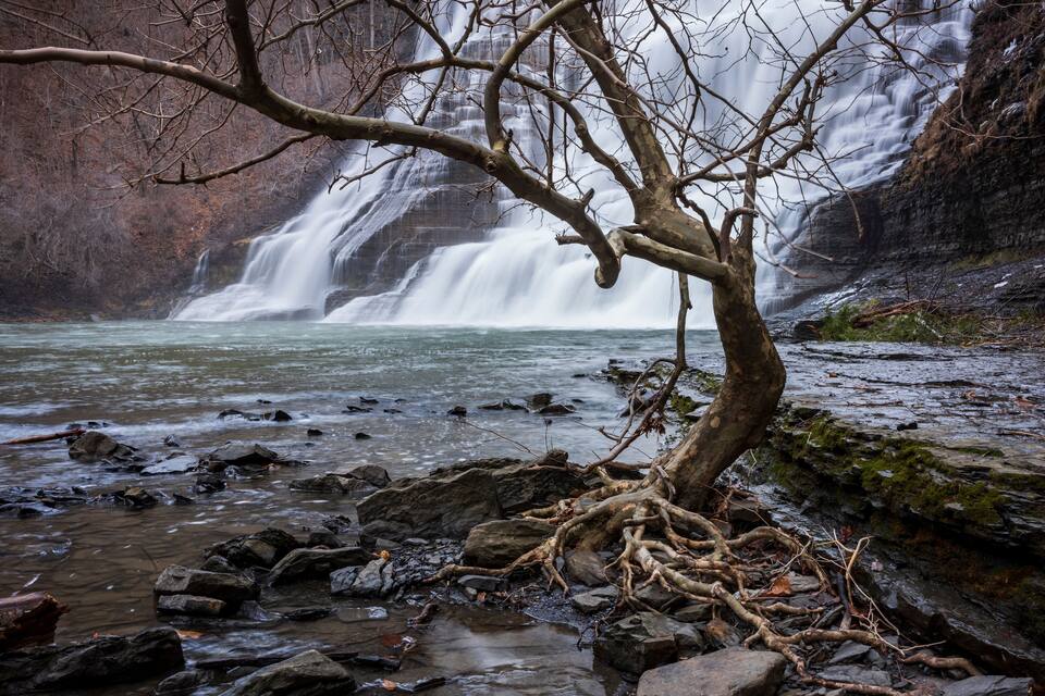 A waterfall, rocky riverbed, and a tree with exposed roots.