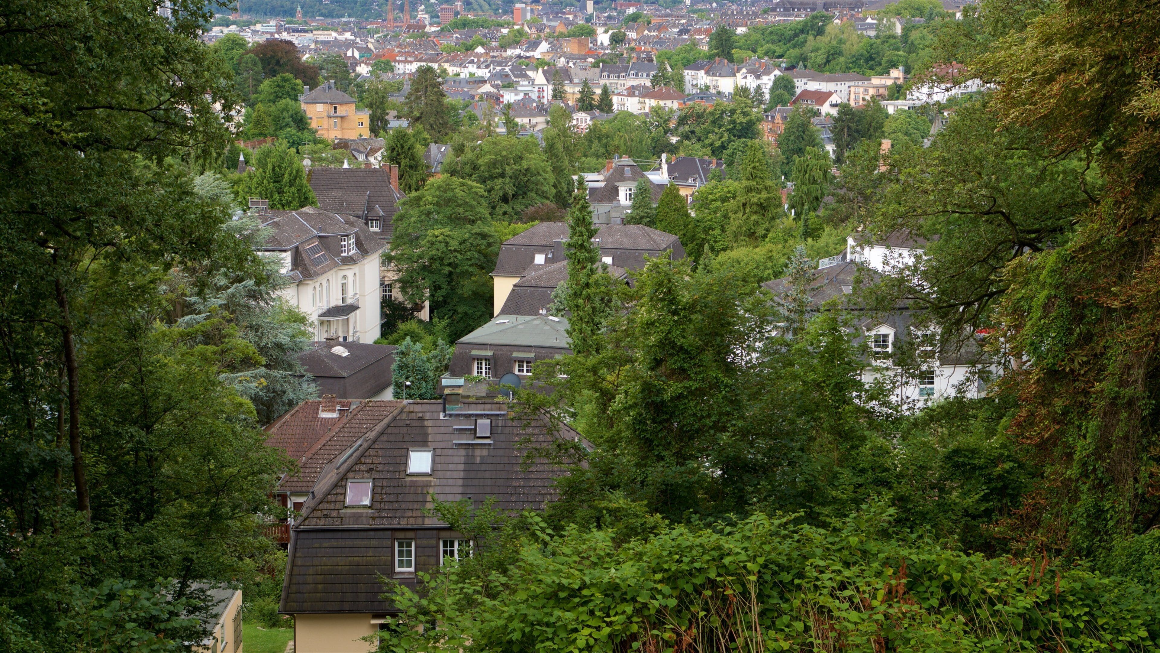 Neroberg featuring a city