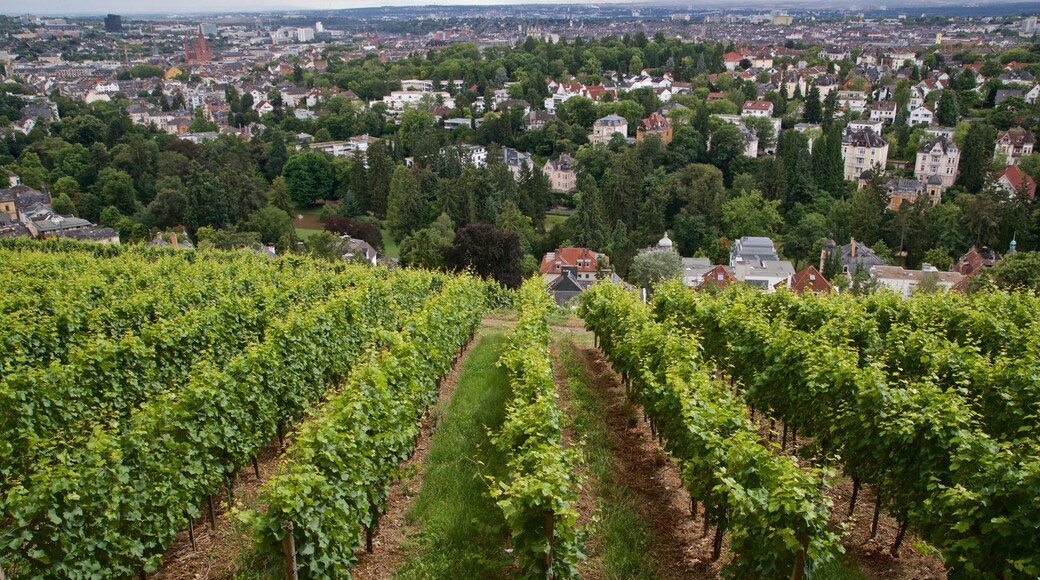 Neroberg showing a city, farmland and landscape views