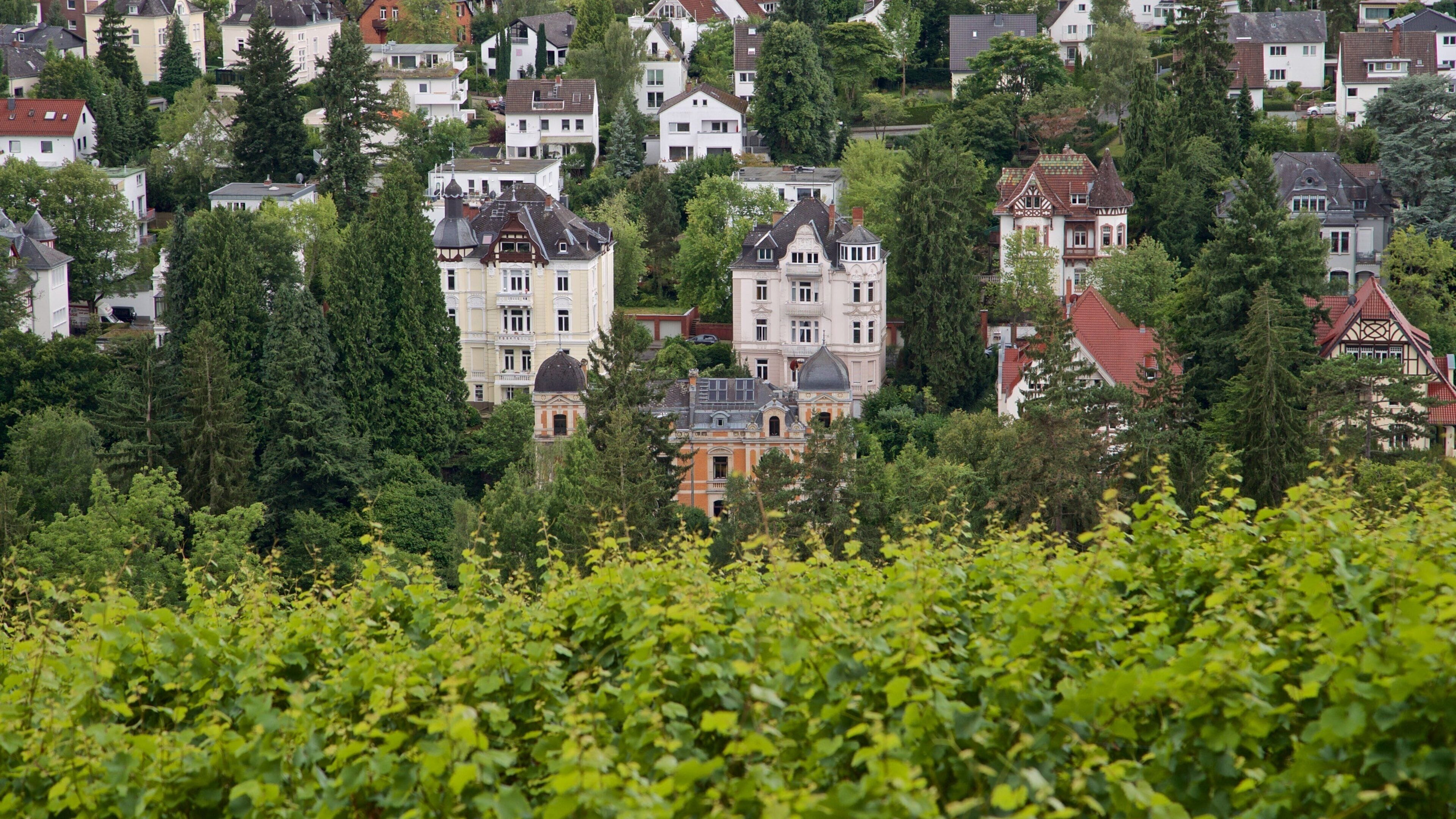 Neroberg featuring a city