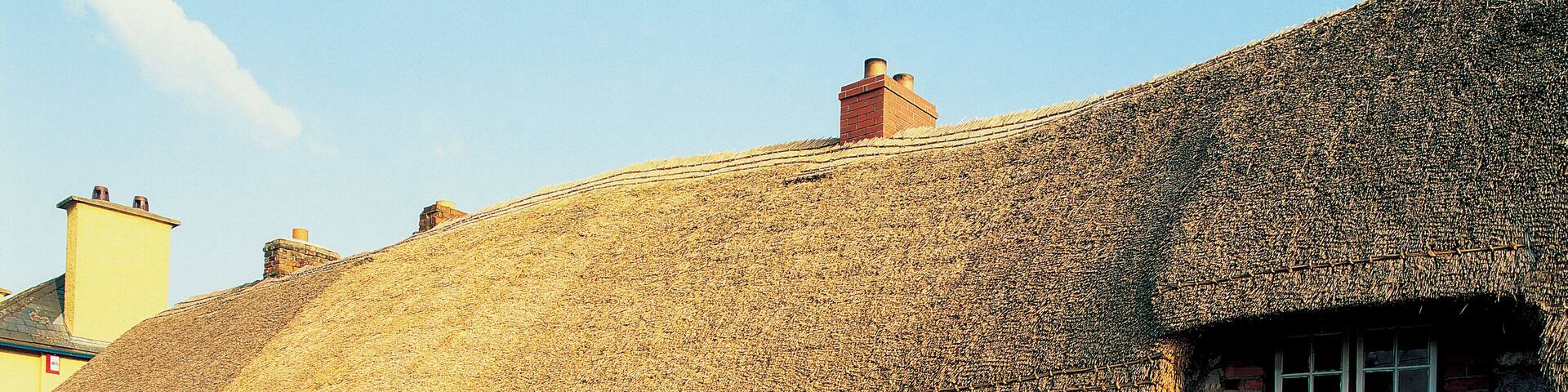 a row of houses with thatched roof and gardens