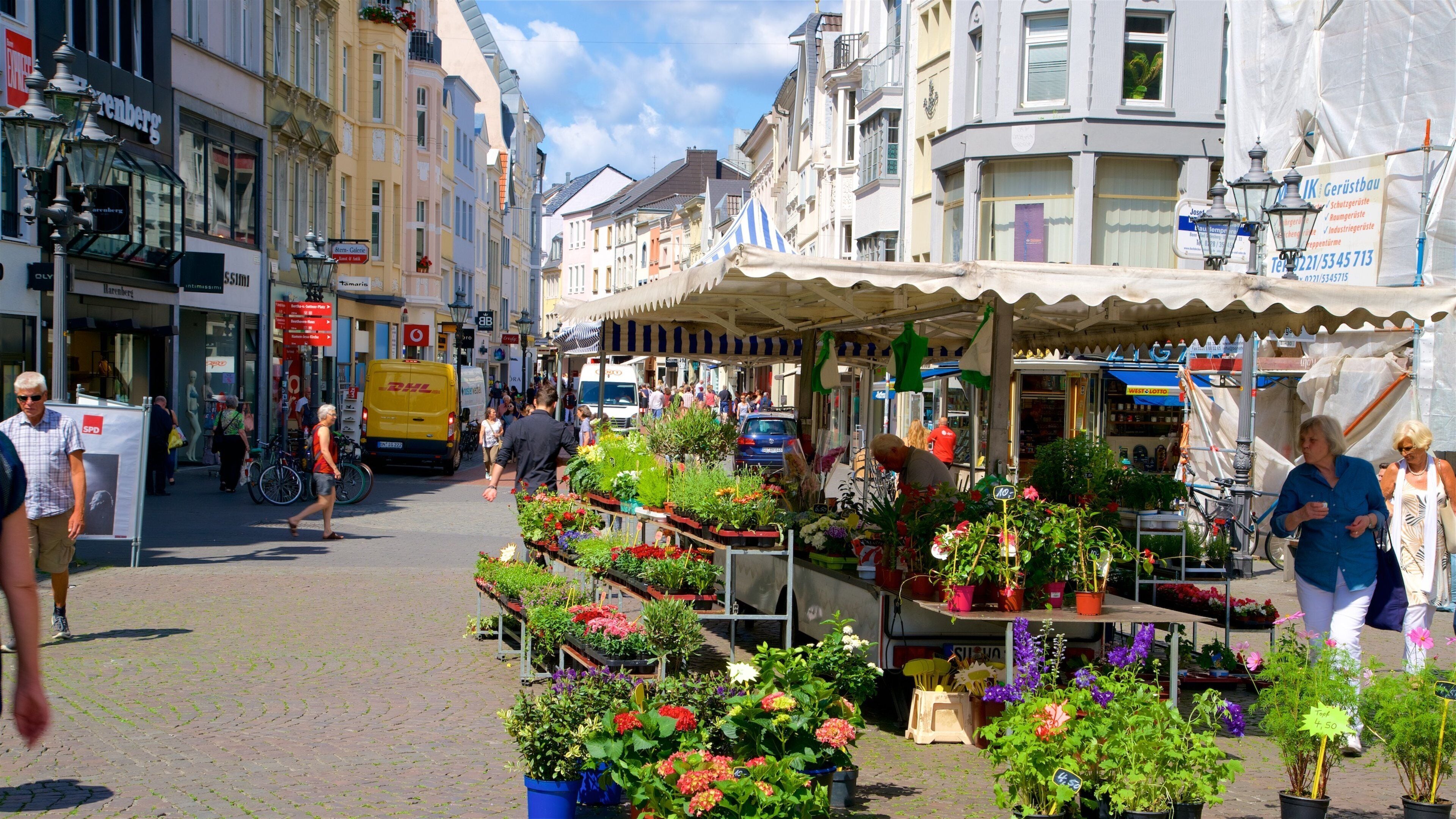 Bonn Marketplace showing markets and flowers