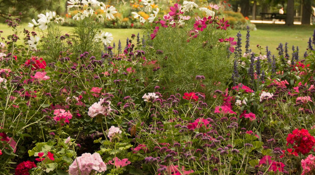 Keywords -- Keywords must be descriptive of the subject matter a