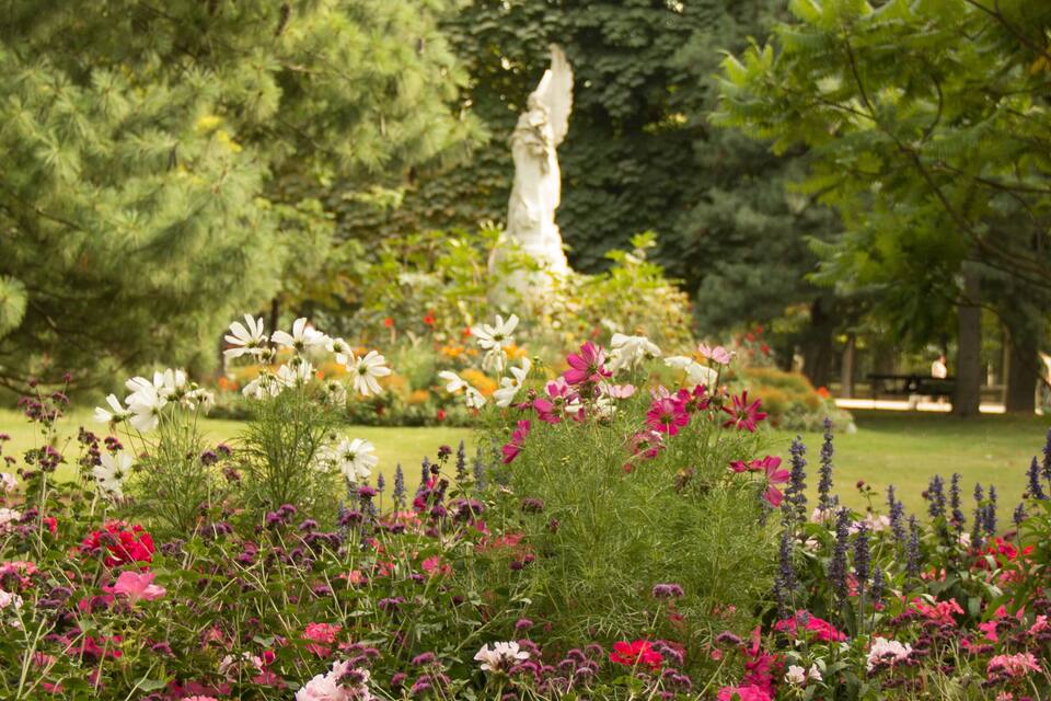 A garden with various flowers and trees.