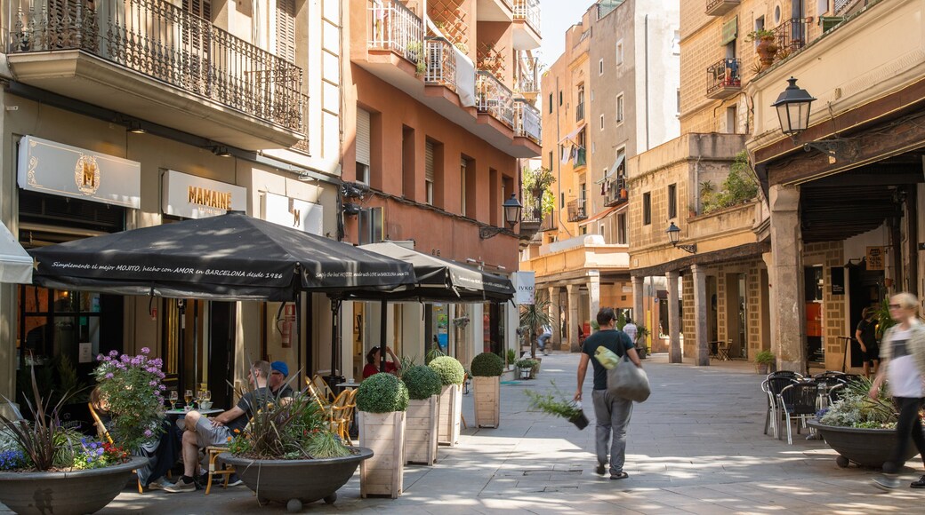 La Ribera which includes a city