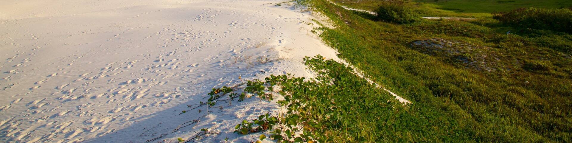 Dunas Beach which includes a sandy beach, a coastal town and general coastal views