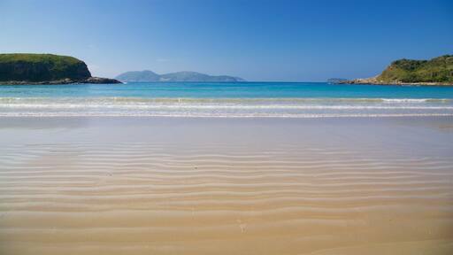 Strand van Conchas inclusief algemene kustgezichten en een strand