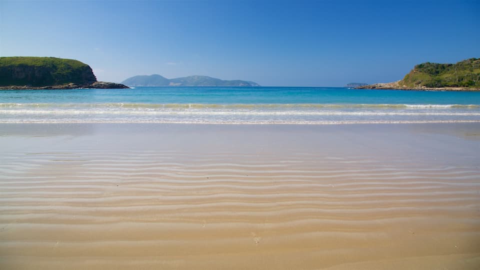 Conchas-stranden som inkluderer strand og kyst