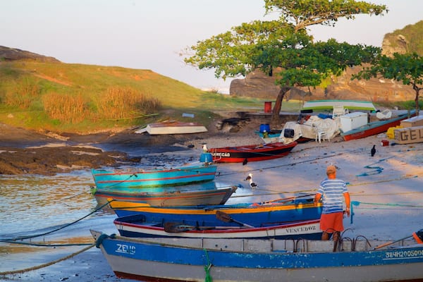 A beach with several boats, a tree, and rocky hills in the background.