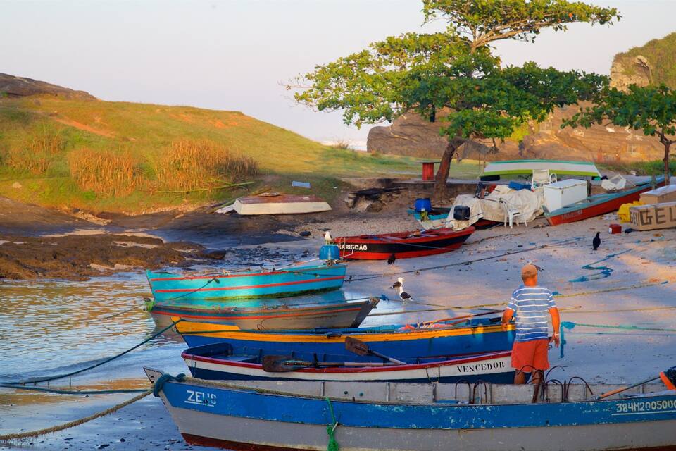 A beach with several boats, a tree, and rocky hills in the background.