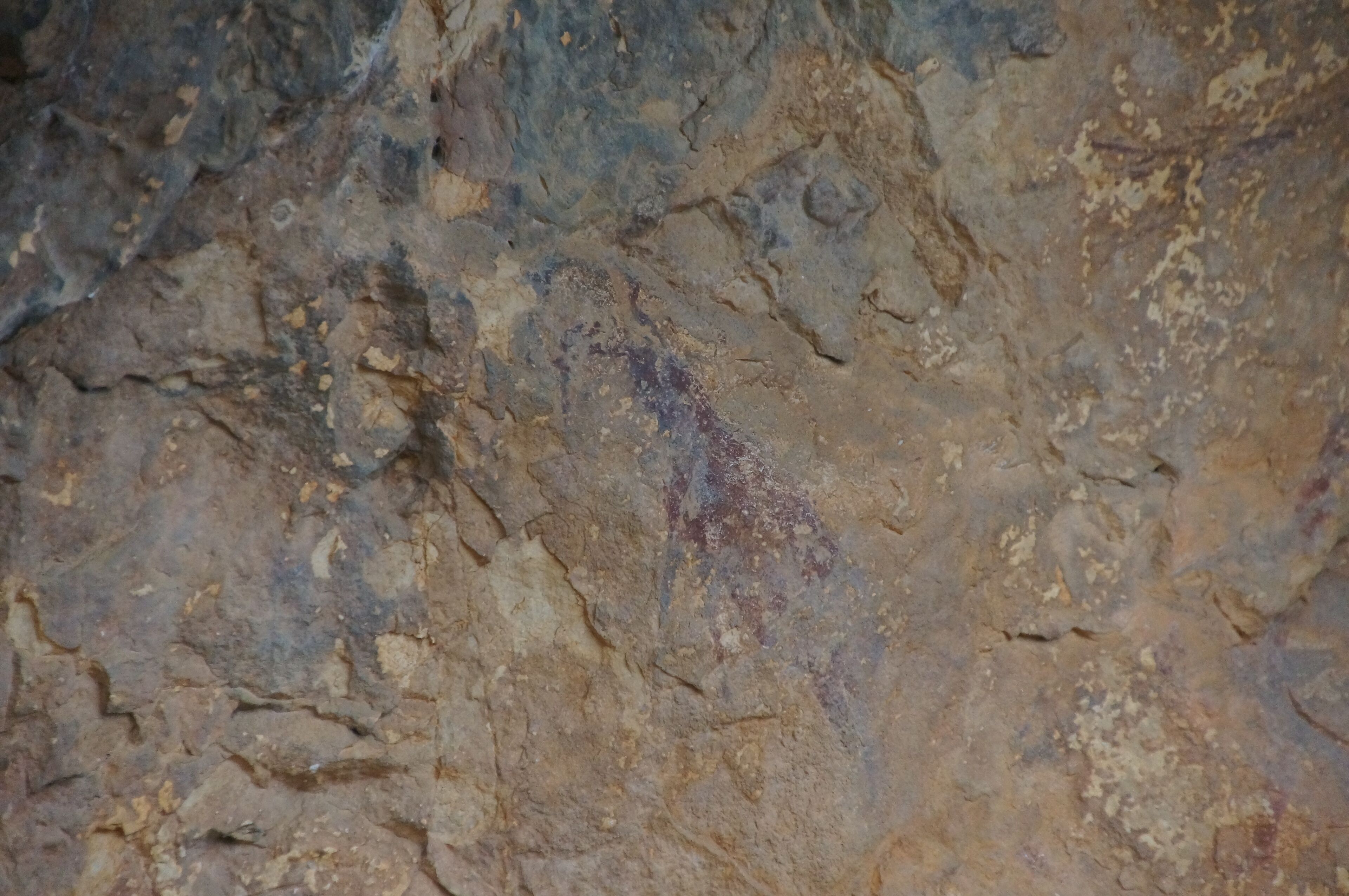 A close-up of a rock surface with visible layers and textures.