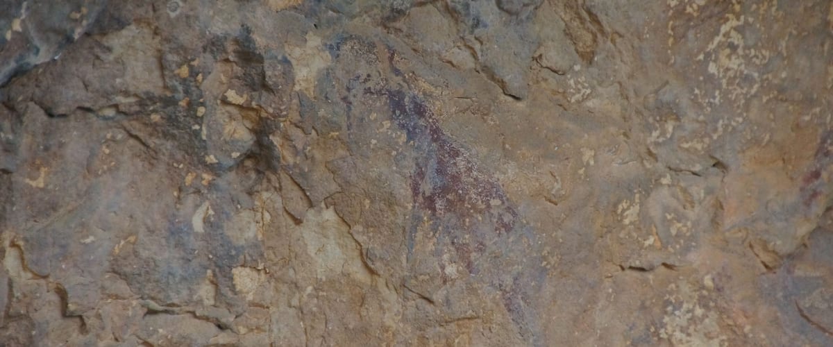 A close-up of a rock surface with visible layers and textures.