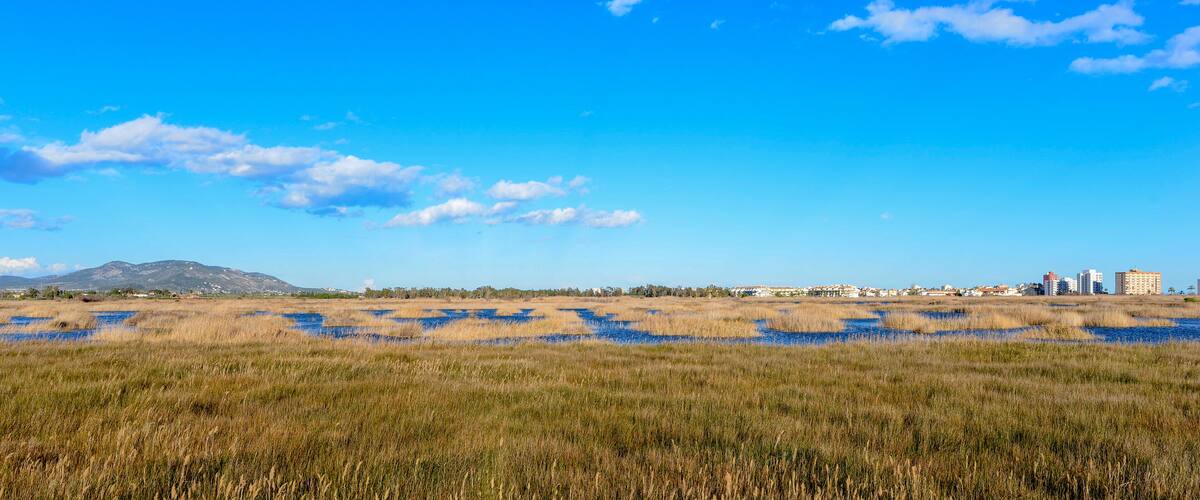 A coastal landscape with a clear blue sky, a flat grassy area, and a distant mountain range.