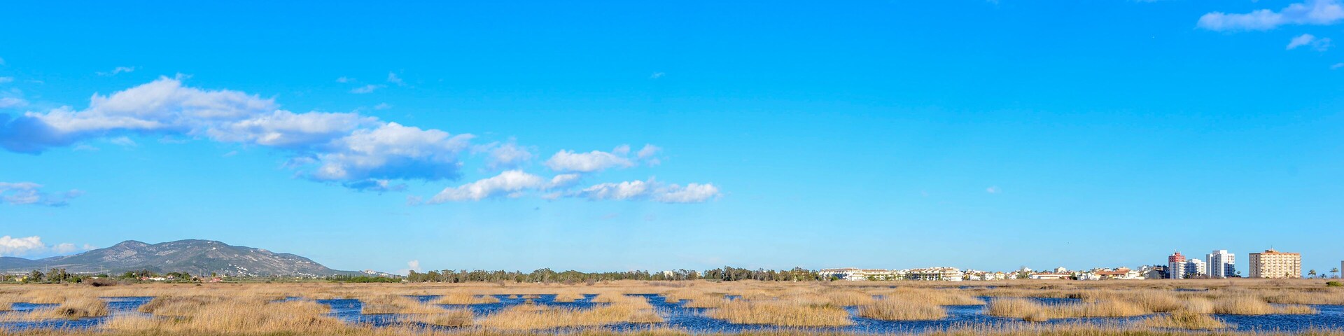 A coastal landscape with a clear blue sky, a flat grassy area, and a distant mountain range.