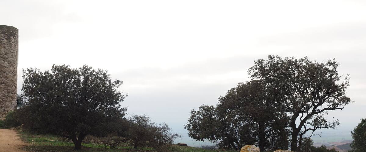 A stone tower on a dirt path with trees on either side.
