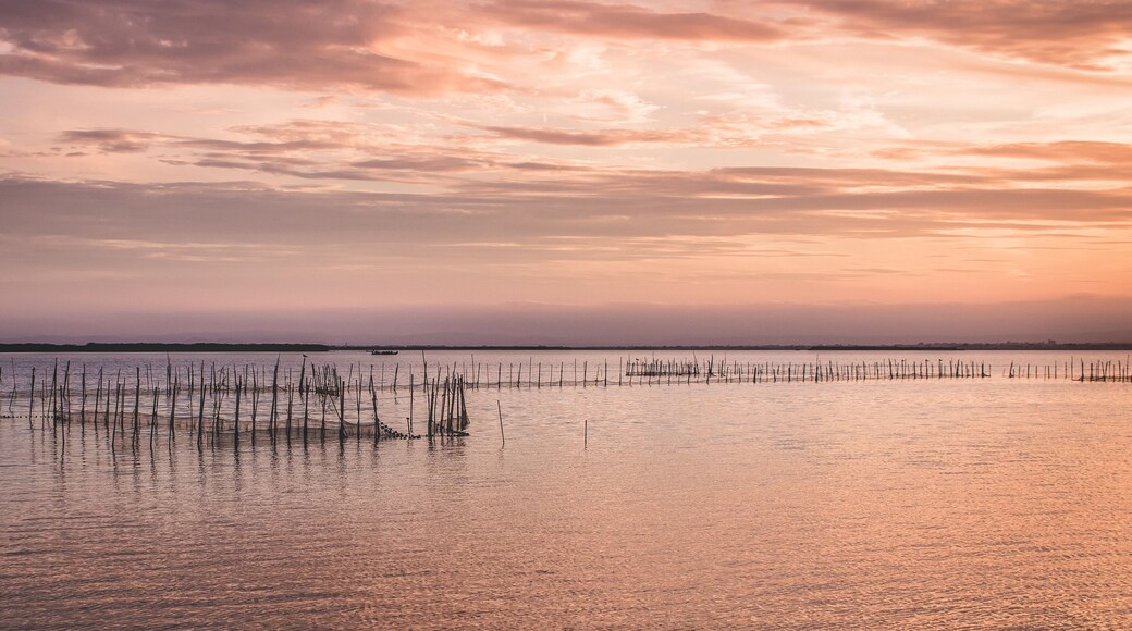 Lagoon in Pinedo town of Valencia