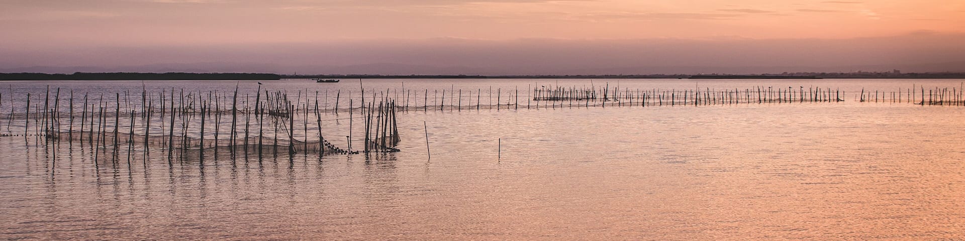 Lagoon in Pinedo town of Valencia