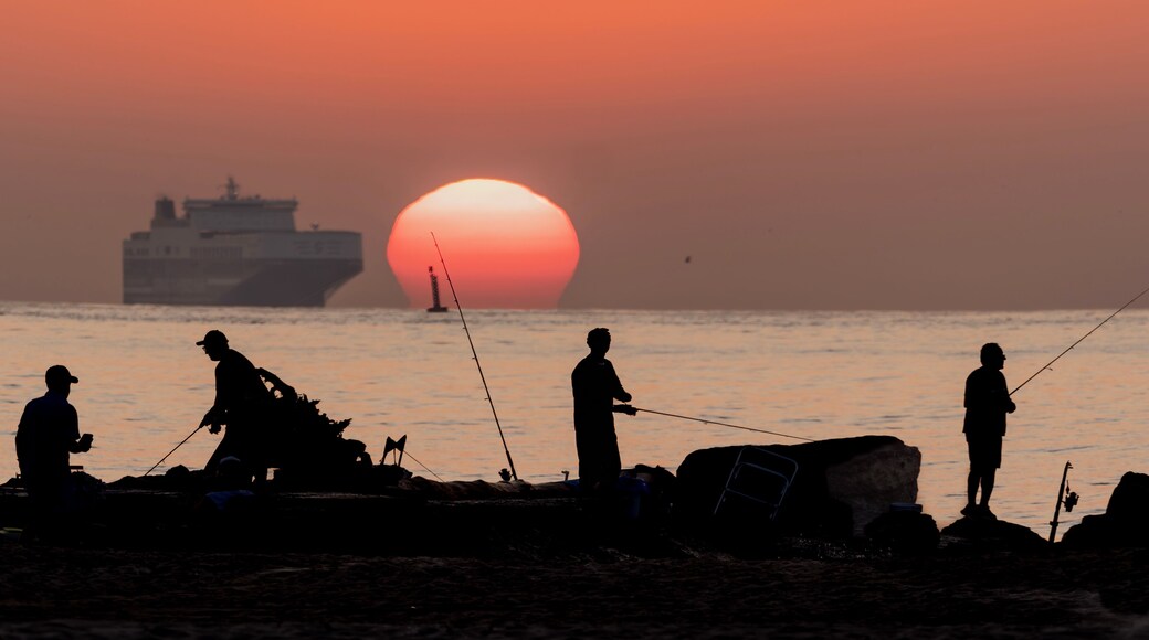 Sunrise at the port of Pinedo (Valencia, Spain)