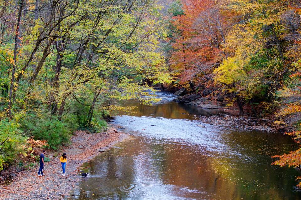 A river flowing through a forest with autumn-colored trees.