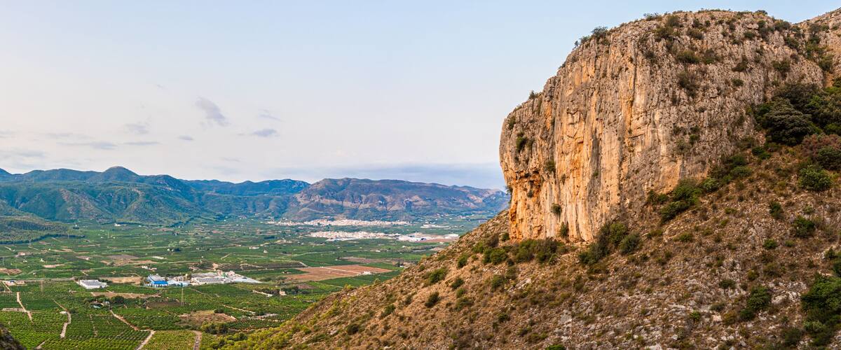 A mountainous landscape with vineyards and a distant town.