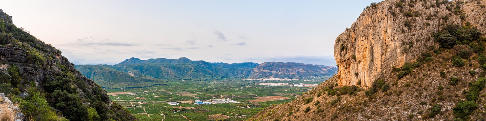 A mountainous landscape with vineyards and a distant town.