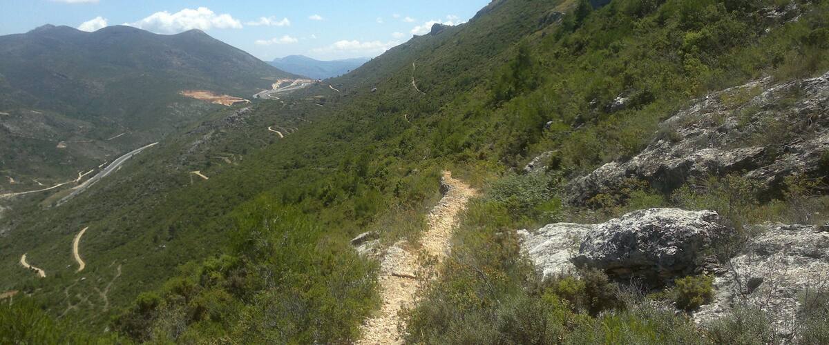 A mountainous landscape with a dirt path winding through dense green vegetation.