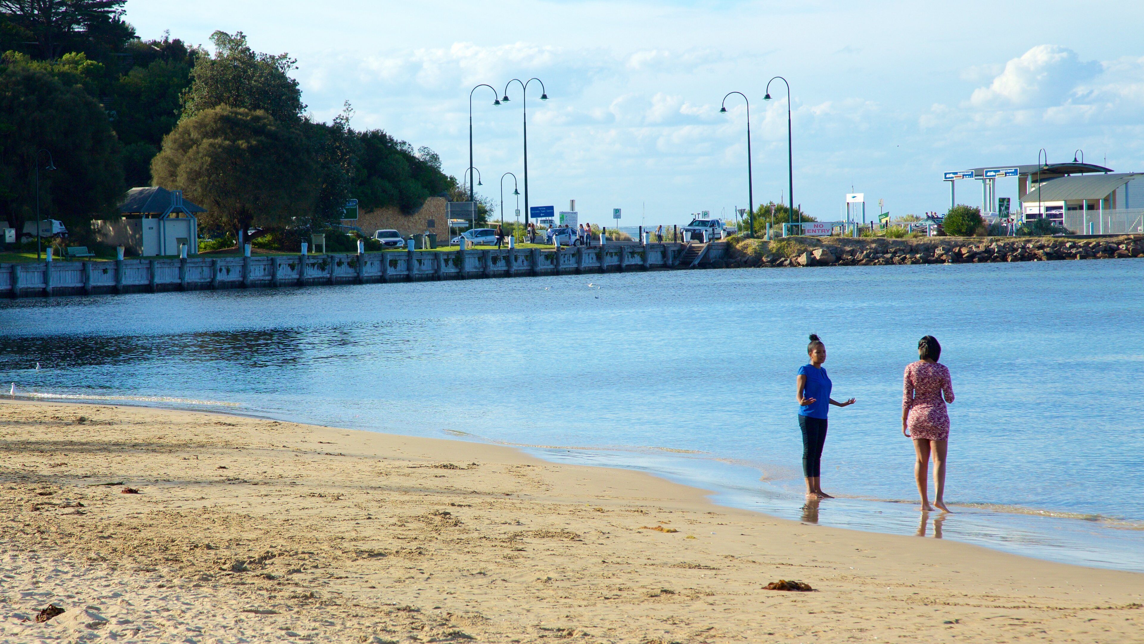 Sorrento mettant en vedette plage aussi bien que petit groupe de personnes